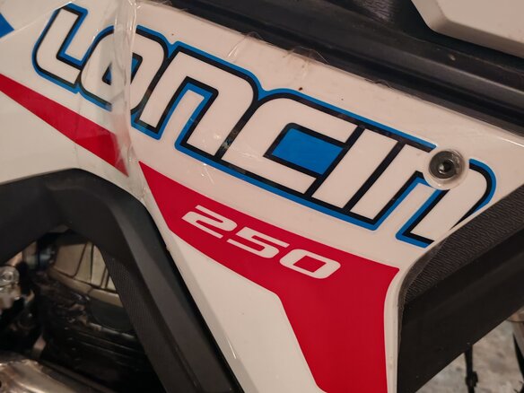 2026 Loncin DS250, белый - вид 12