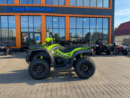 2026 Bashan Explorer 300, серый, 291800 рублей, вид 2