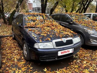 2001 Skoda Octavia I (A4) Рестайлинг, синий, 300000 рублей, вид 1