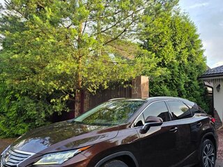 2019 Lexus RX 300 IV, коричневый, 4100000 рублей, вид 4