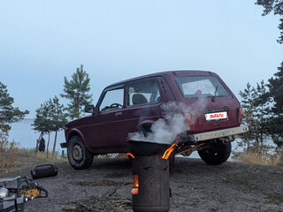 2011 Lada (ВАЗ) 2121 (4x4) I Рестайлинг, пурпурный, 320000 рублей, вид 2