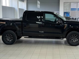 2023 Ford F-150 Raptor XIV, чёрный, 7990000 рублей, вид 4