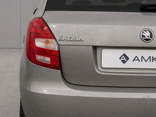 2013 Skoda Fabia II Рестайлинг, бежевый, 509983 рублей, вид 5