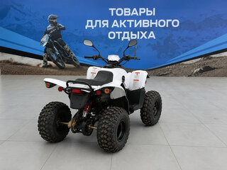 2026 Другие Мотовездеходы (другие), белый, 164600 рублей, вид 5