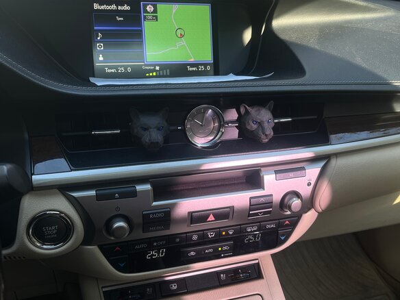 2014 Lexus ES 250 VI, чёрный, 1900000 рублей - вид 27