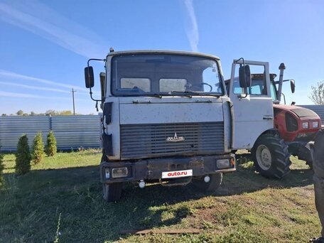 2002 МАЗ 5551, белый, 250000 рублей, вид 3