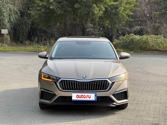 2023 Skoda Octavia IV (A8), бежевый - вид 1