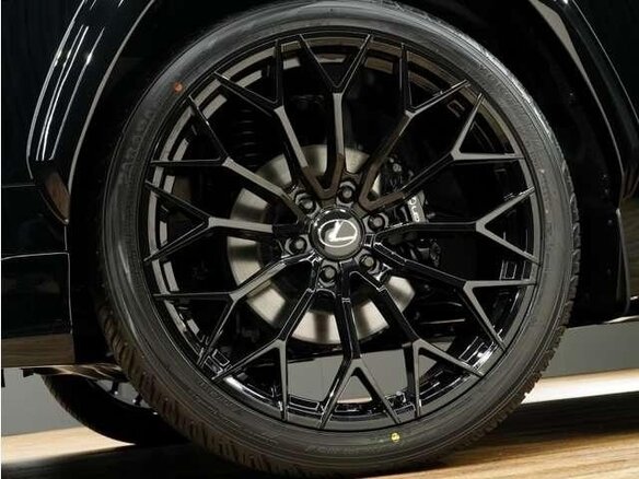 2023 Lexus LX 600 IV, чёрный, 14289777 рублей - вид 32