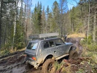 1987 Lada (ВАЗ) 2121 (4x4) I, чёрный, 500000 рублей, вид 3