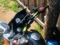 2020 Racer Panther, оранжевый, 125000 рублей