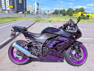 2008 Kawasaki Ninja 250R, фиолетовый, 313313 рублей, вид 1