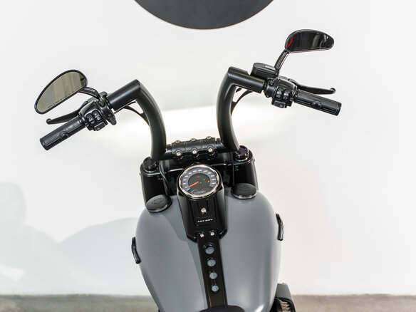 2020 Harley-Davidson Fat Boy, серебристый, 2650000 рублей - вид 9
