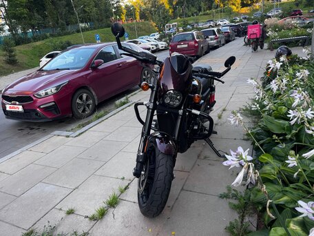 2019 Harley-Davidson Street Rod, красный, 825000 рублей, вид 3