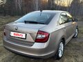 2017 Skoda Rapid I Рестайлинг, бежевый, 1190000 рублей - вид 9