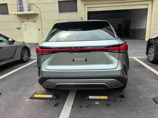 2025 Lexus RX 300 V, серый, 6060000 рублей, вид 5
