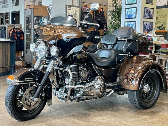 2013 Harley-Davidson Tri Glide, коричневый, 2500000 рублей