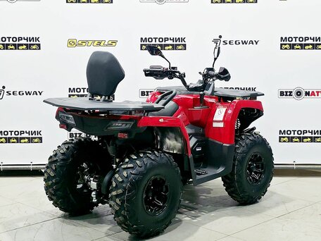 2025 Bison 250U, красный, 309900 рублей, вид 5