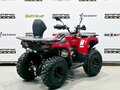2025 Bison 250U, красный, 309900 рублей - вид 4