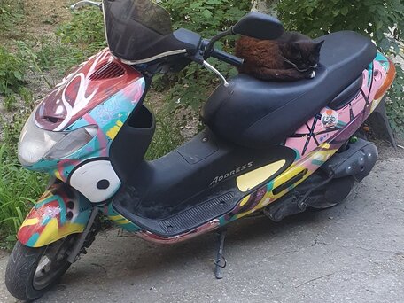 2000 Suzuki Address V50, красный, 83000 рублей, вид 1