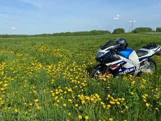 1997 Suzuki GSX-R 600, синий, 310000 рублей, вид 3