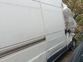 2008 Fiat Professional Ducato, белый, 380000 рублей