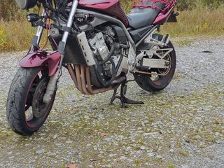 2001 Yamaha FZS1000 Fazer, красный, 295000 рублей, вид 1
