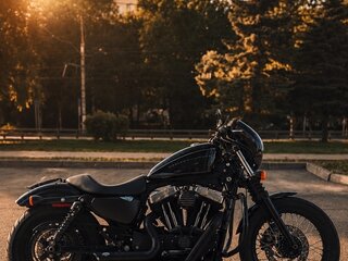 2009 Harley-Davidson Nightster, чёрный, 799999 рублей, вид 2