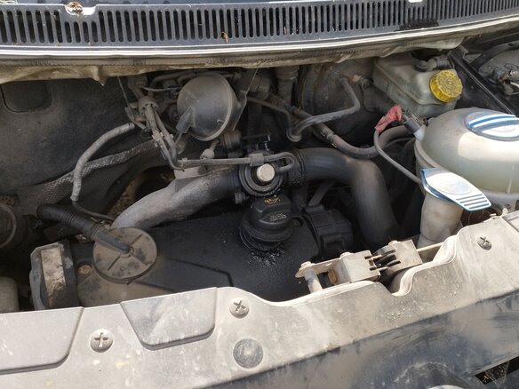 2006 Volkswagen Transporter, белый, 445000 рублей - вид 3
