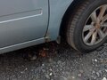 2015 Datsun mi-DO, голубой, 450000 рублей - вид 8
