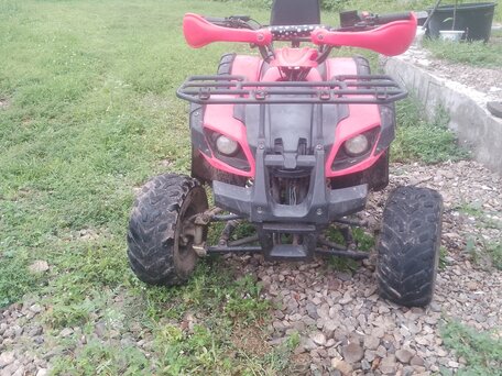 2024 Yamaha Grizzly 125, красный, 30000 рублей, вид 1