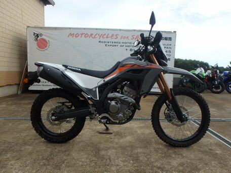 2024 Honda CRF 250L, серый, 725000 рублей, вид 1
