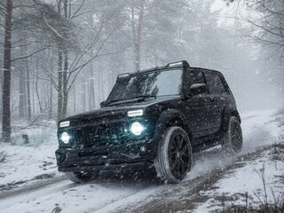 2016 Lada (ВАЗ) 2121 (4x4) I Рестайлинг, чёрный, 675000 рублей, вид 5