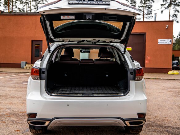 2019 Lexus RX 300 IV Рестайлинг, белый, 4450000 рублей - вид 12