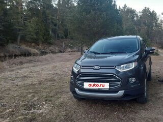 2018 Ford EcoSport II, серый, 950000 рублей, вид 5