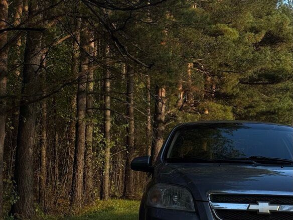 2008 Chevrolet Aveo I Рестайлинг, серый, 380000 рублей - вид 7