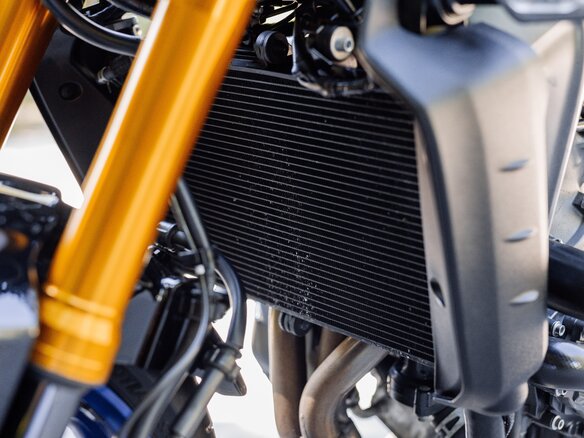 2022 Yamaha MT-09 (FZ-09), серебристый, 1075000 рублей - вид 24