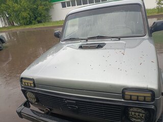 2010 Lada (ВАЗ) 2131 (4x4) 213105 I, серый, 300000 рублей, вид 2