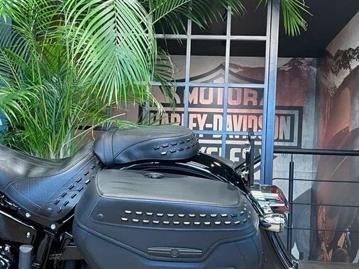 2025 Harley-Davidson Heritage, чёрный, 3850000 рублей - вид 15