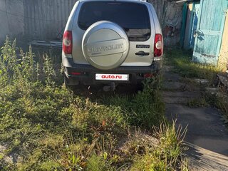 2010 Chevrolet Niva I Рестайлинг, серебристый, 550000 рублей, вид 2
