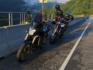 2008 Honda CB 600F Hornet, чёрный, 599999 рублей, вид 1