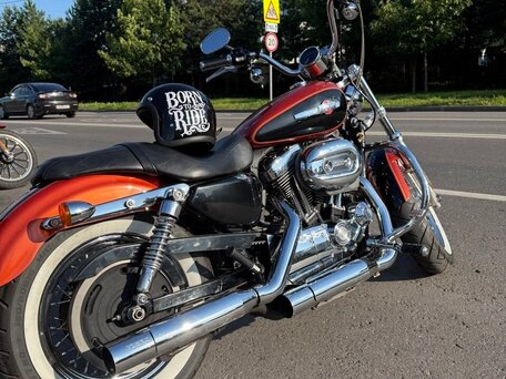 2011 Harley-Davidson Sportster 1200, красный, 650000 рублей, вид 3