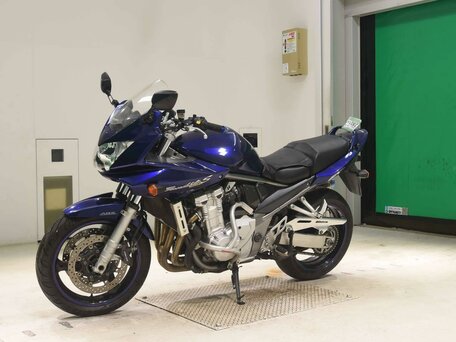 2009 Suzuki Bandit GSF 1250, синий, 447000 рублей, вид 4
