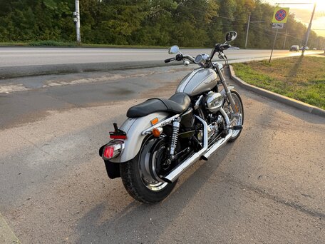 2008 Harley-Davidson Sportster 1200, серебристый, 699000 рублей, вид 5