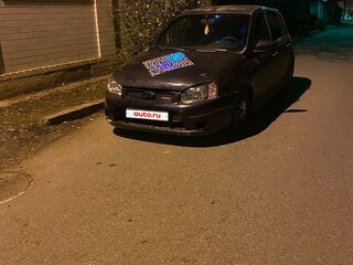 2008 Lada (ВАЗ) Kalina Sport I, синий, 230000 рублей, вид 2