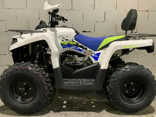 2026 Motoland ATV 200 Shark, белый, 208900 рублей, вид 2