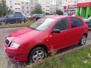 2007 Skoda Fabia I Рестайлинг, красный, 200000 рублей, вид 1