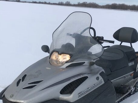 2006 Yamaha VK Professional, серебристый, 1099000 рублей, вид 3