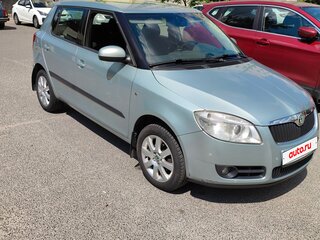 2009 Skoda Fabia II, серый, 510000 рублей, вид 4