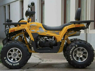 2025 Motoland Wild Track 200 X Pro, жёлтый, 215100 рублей, вид 3