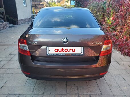 2018 Skoda Octavia III (A7) Рестайлинг, коричневый, 1650000 рублей, вид 5